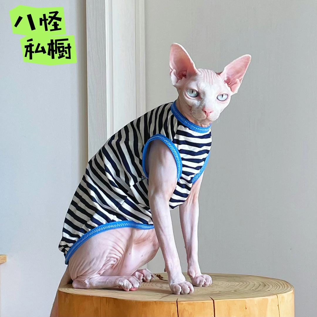 手工制作无毛猫德文猫纯棉夏季透气亲肤条纹背心
