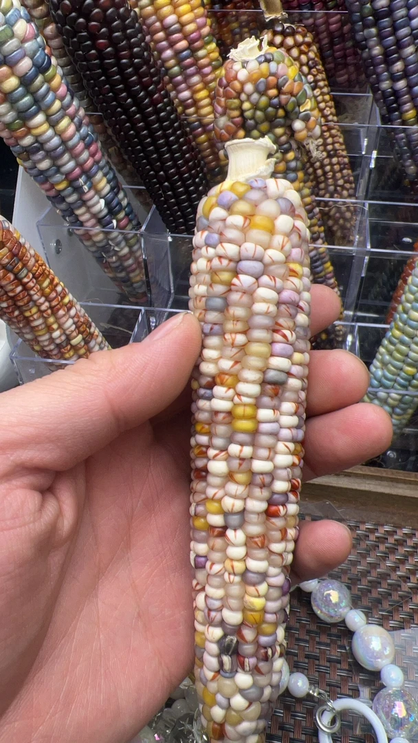 文玩玉米（盒子-现场开）盘玩七彩玉米毛料冰霜-油画-保血-高冰高透