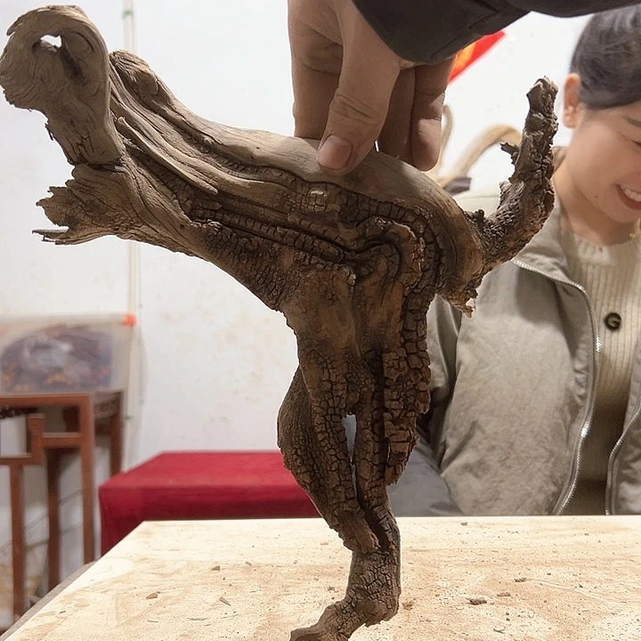 柏木古**香我们的生活也