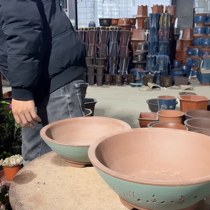 紫砂绿斗花盆中小