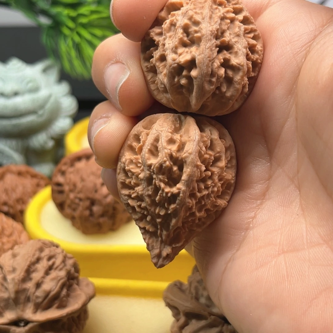 31秦岭野生蚂蚁塔核桃