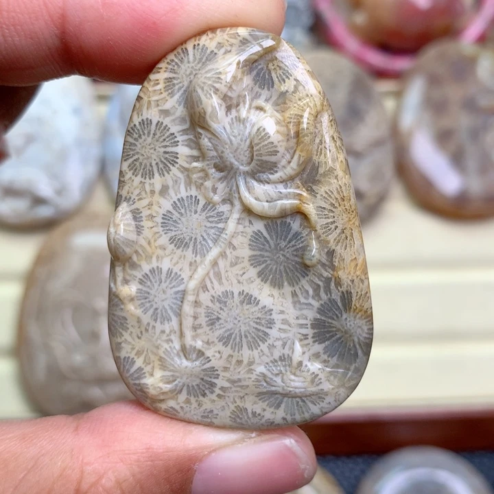 硅化珊瑚（珊瑚玉）未镶嵌颈饰