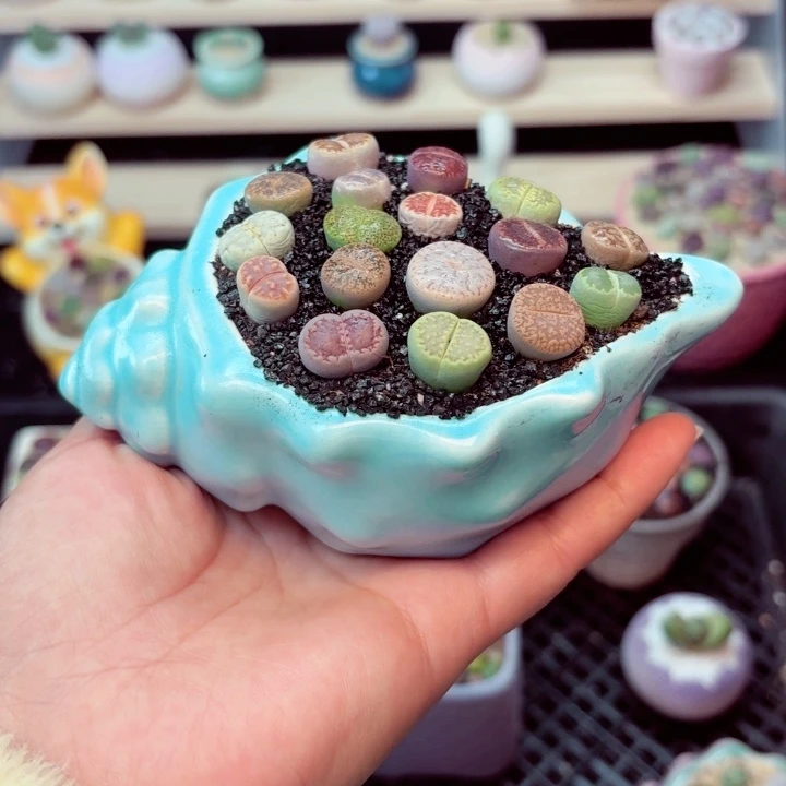 8020零下地区记得拍保温箱