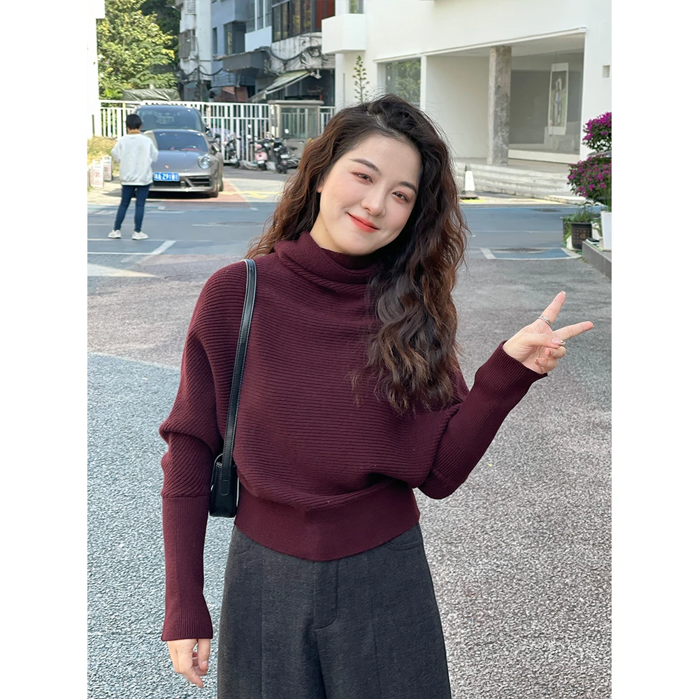 WenWen小个子搭宽松毛衣女秋冬新款堆堆领蝙蝠袖针织衫上衣2461