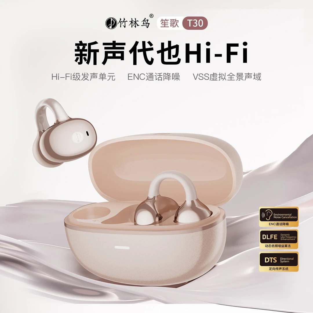 竹林鸟笙歌T30耳夹式气骨传导蓝牙耳机运动骑行跑步防汗HiFi无线