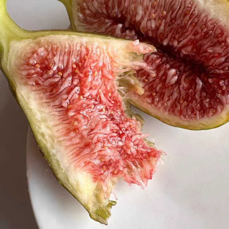 巴劳奈无花果糖包子新鲜树熟无花果格莱斯无花果斯特拉无花果