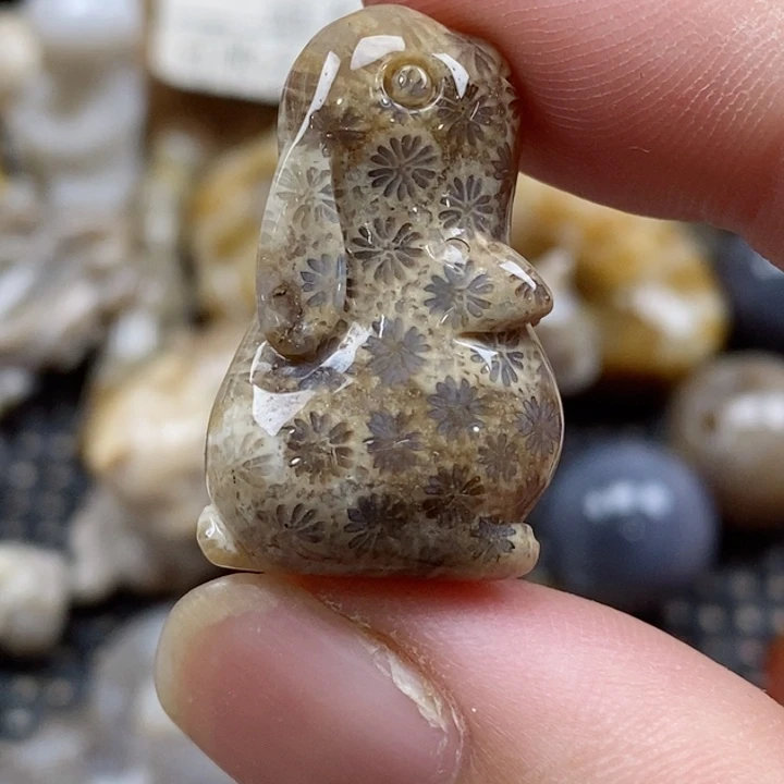 颈饰未镶嵌硅化珊瑚（珊瑚玉）小