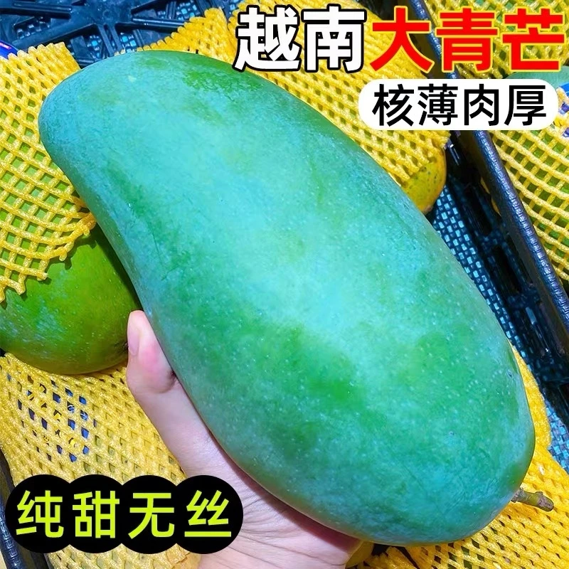 正宗大青芒果新鲜越南特大芒果10斤纯青皮纯甜无丝当季水果整箱