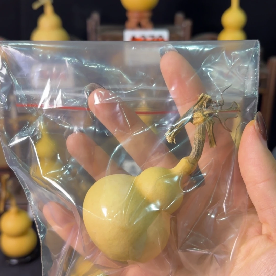 奶***o我也不知道我为什么