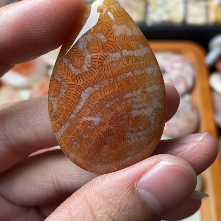 硅化玉颈饰未镶嵌木**荫