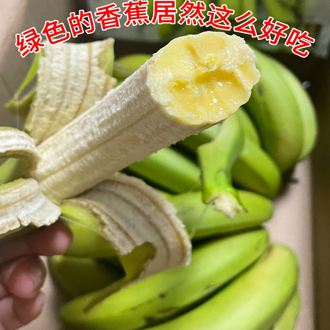 广西高山香蕉新鲜自然熟大果广东粉蕉广西 现摘现发J
