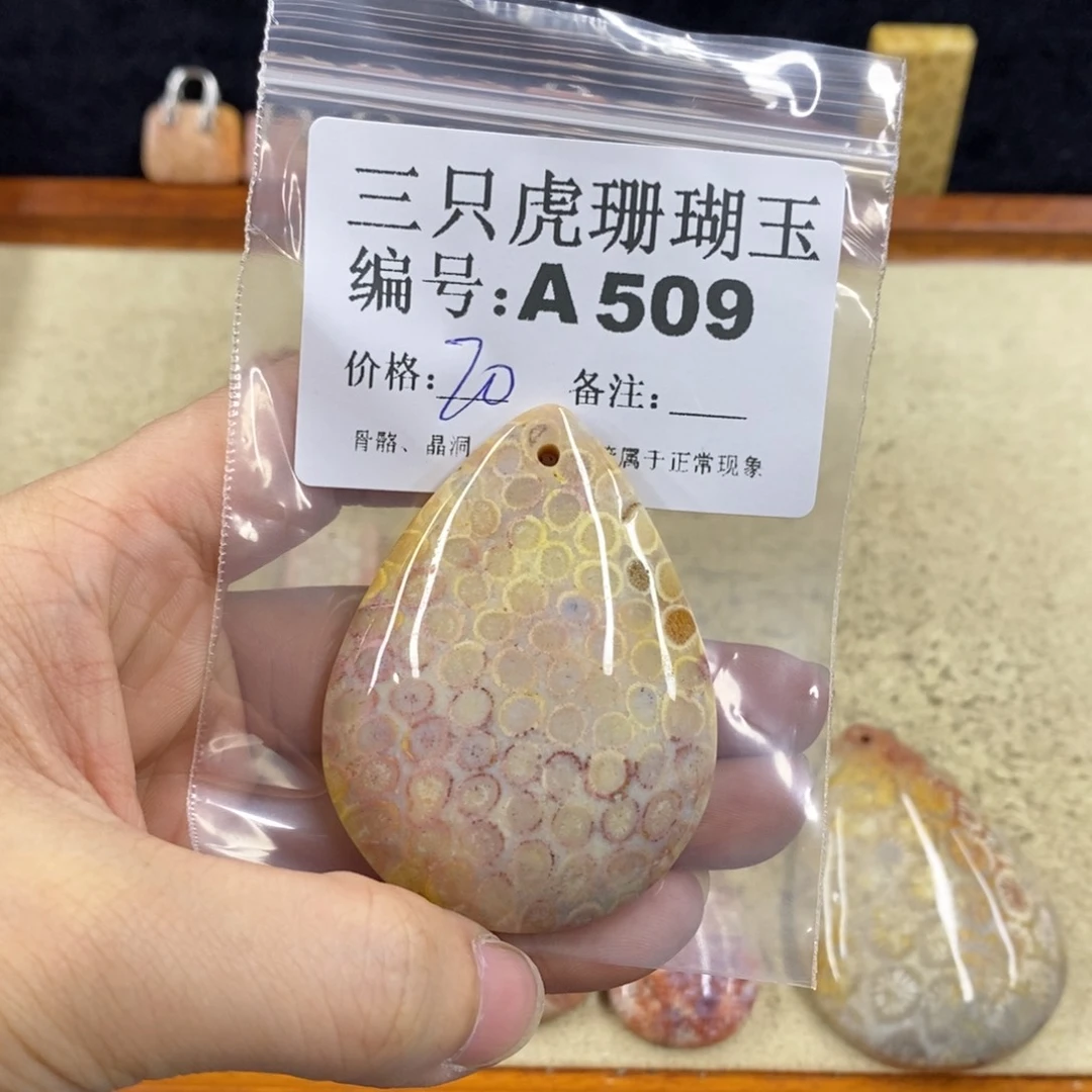 硅化珊瑚（珊瑚玉）1未镶嵌Q*