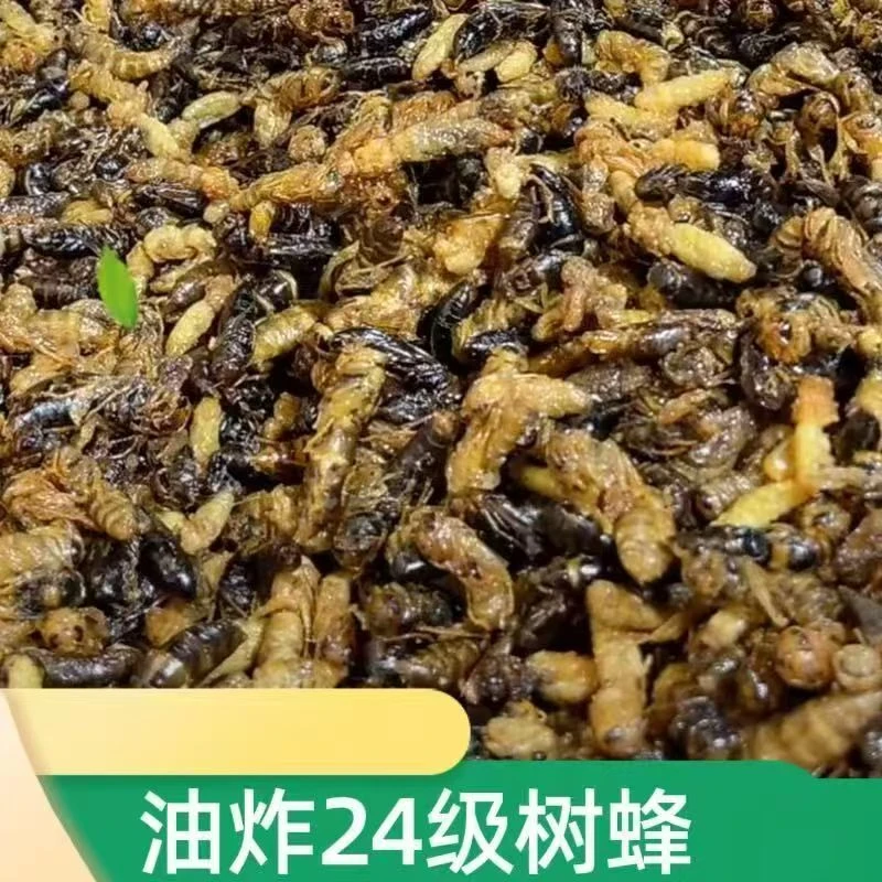 2-4级  树蜂  原味油炸蜂蛹