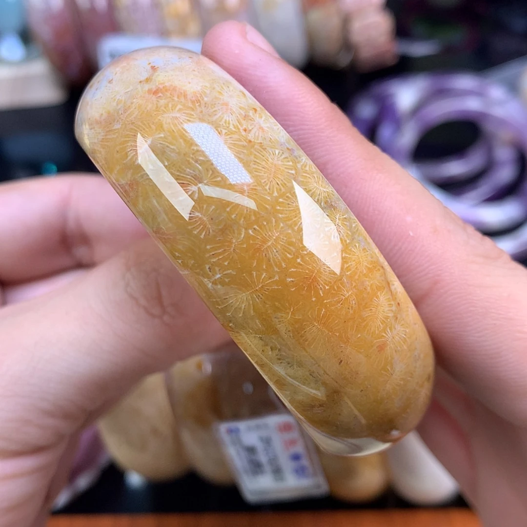 【闪购商品】颈饰未镶嵌硅化珊瑚（珊瑚玉）47号55.2圈金胖虫