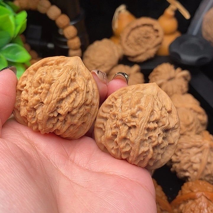 核桃小众玉珊瑚38全品