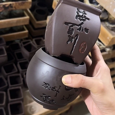 ···2个处理······