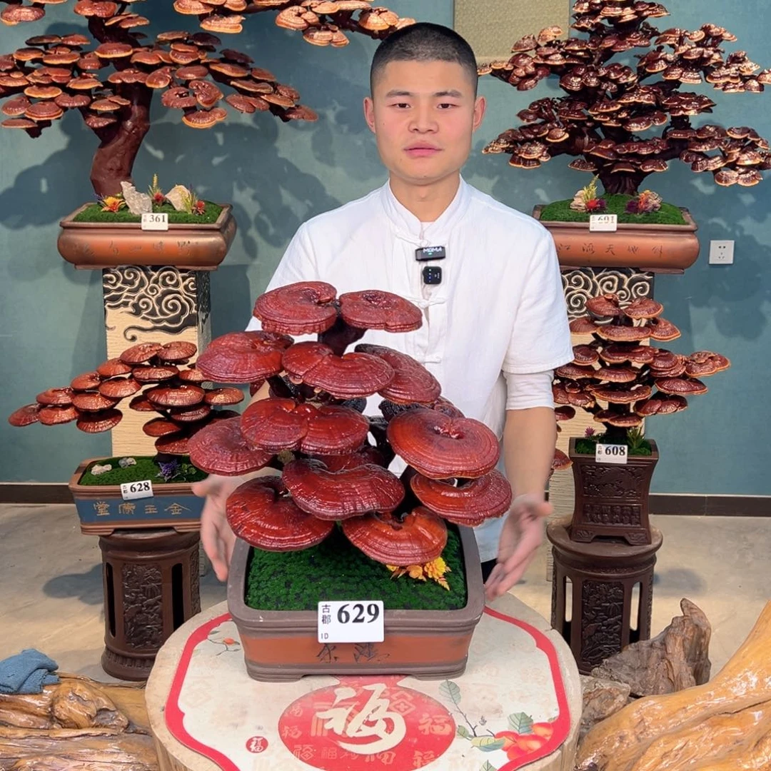 无花朵88888888888