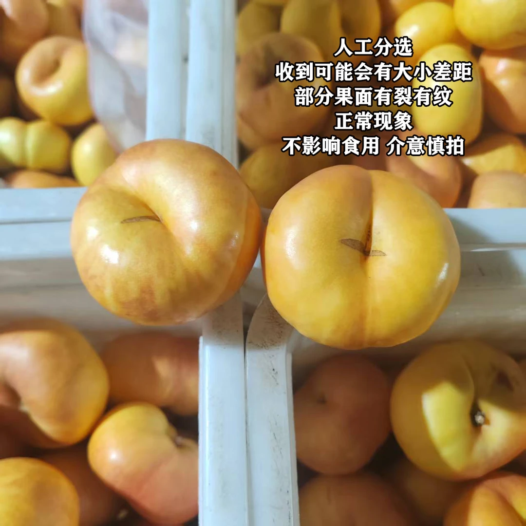 【婷姐选品 顺丰】山东彩虹油蟠桃-早金霞 净重4斤放软食用桃香更浓