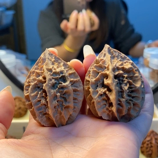 把件桃核八楞龙骨
