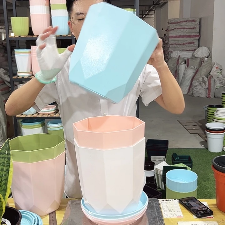 Fz220口22高24混色3只带托