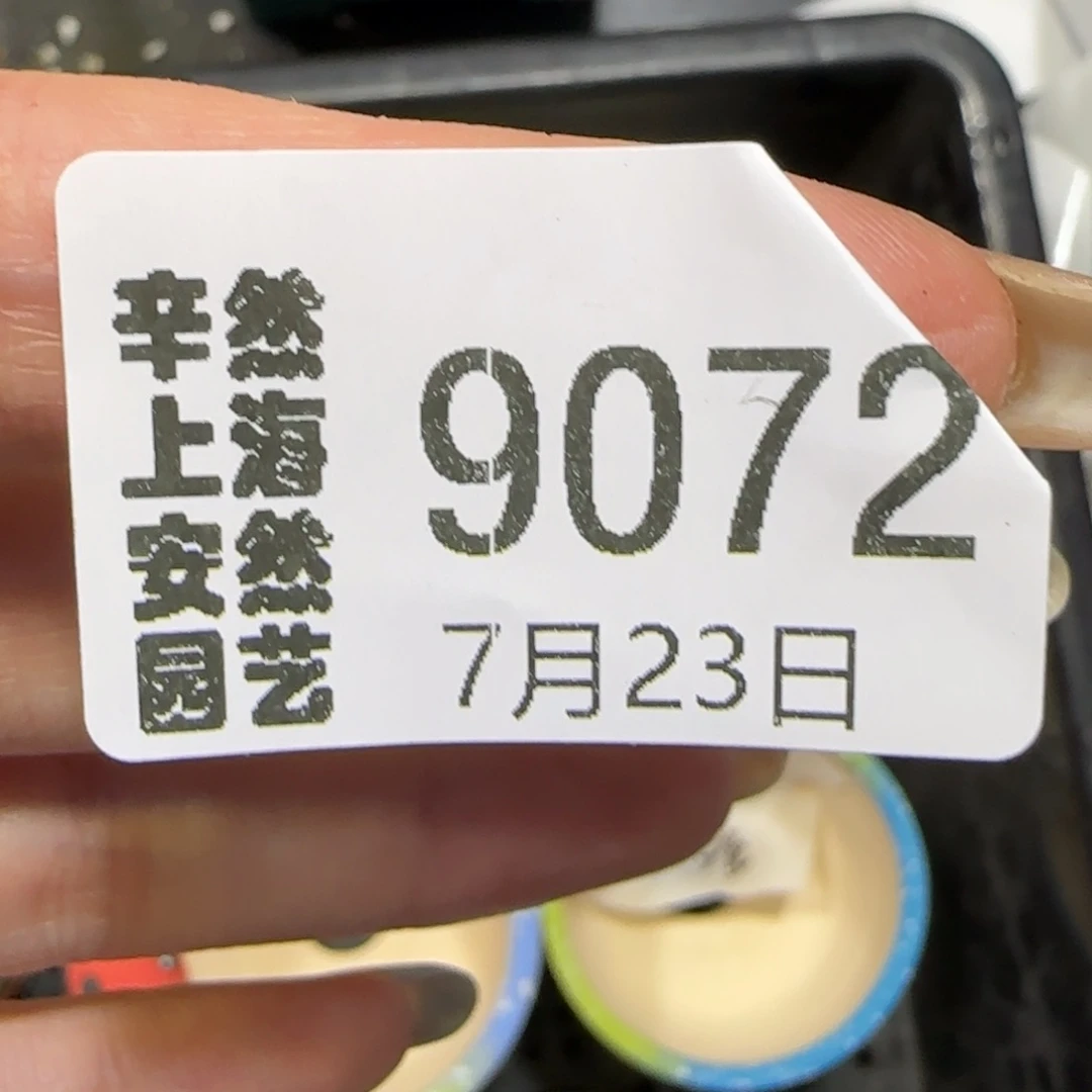 芝***-7.23。  盆。  9072 有差