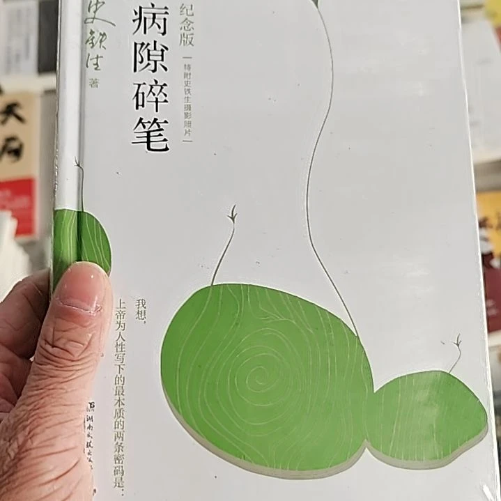 病隙碎笔病隙碎笔