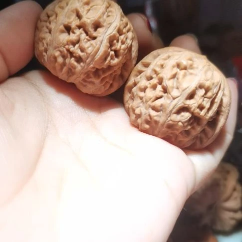 猴头核桃吊坠38.5元宝