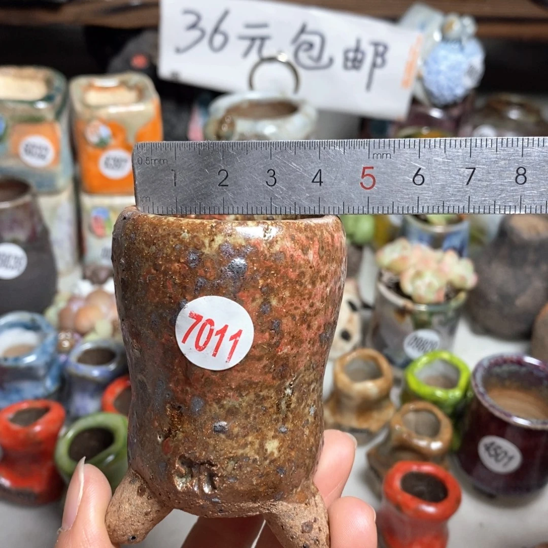 花盆拍3送个9·9的盆，拍5送同款