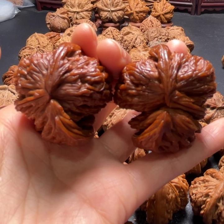 翔*白狮子两棱挂角43尺寸核桃哈哈哈