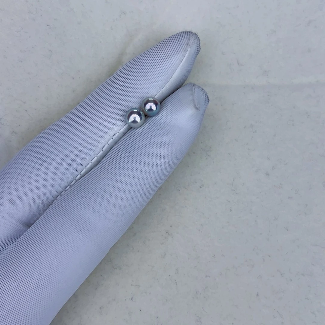 海水珍珠海水akoya真多麻色耳钉5-6mm银S925镶嵌