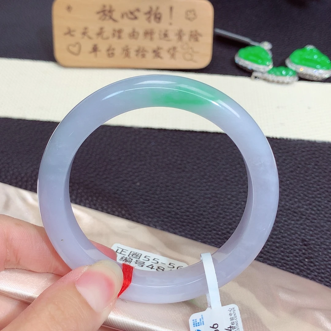 未镶嵌手镯翡翠484