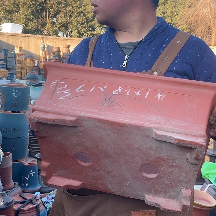 紫砂带**飞紫砂花盆盆栽