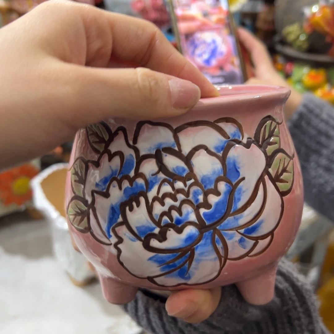 多肉花盆拍满20包邮爱退款拉黑