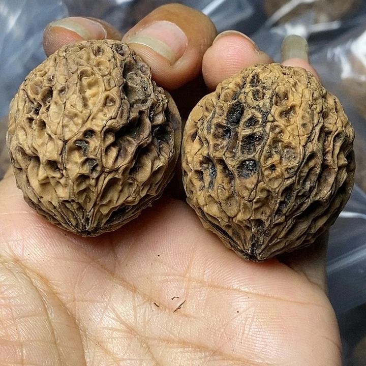 把件文玩核桃云南铁核桃44