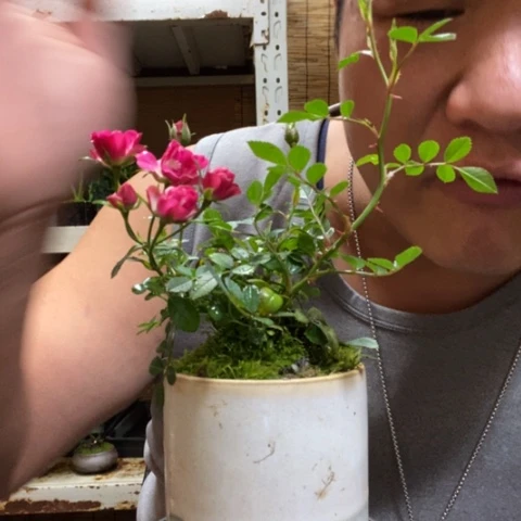 红陶一物一拍所见即所得198