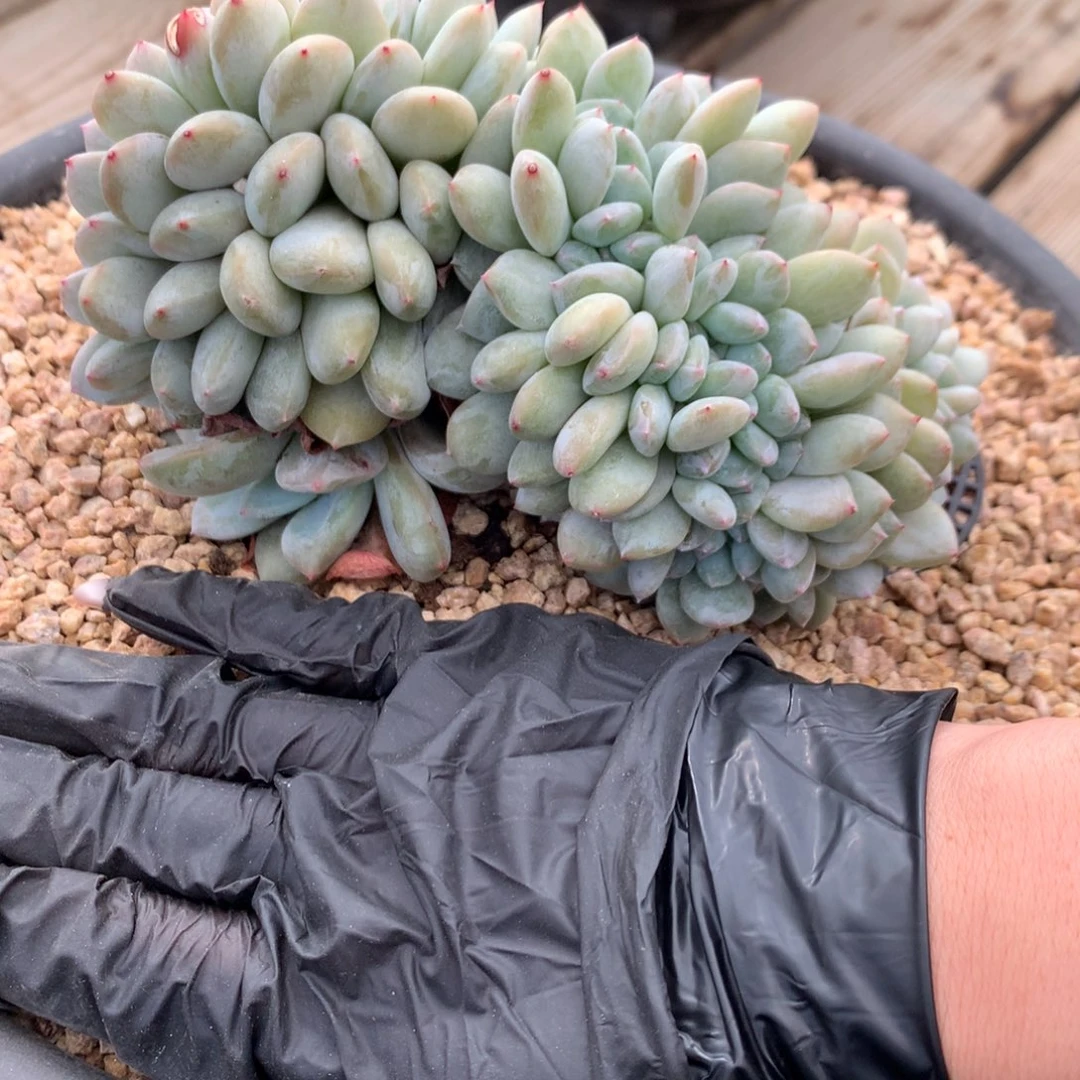 A841售后范围：签收起7天内，录开箱视频