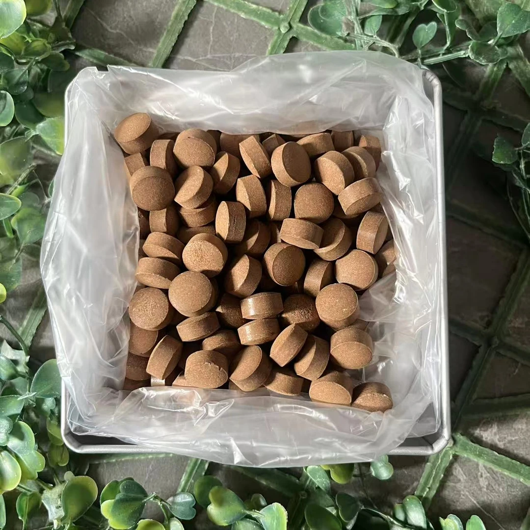 雨腾古茶  Y圣”G品 H络壹号 大圆M”Y倍J炼60g/盒（12月22）