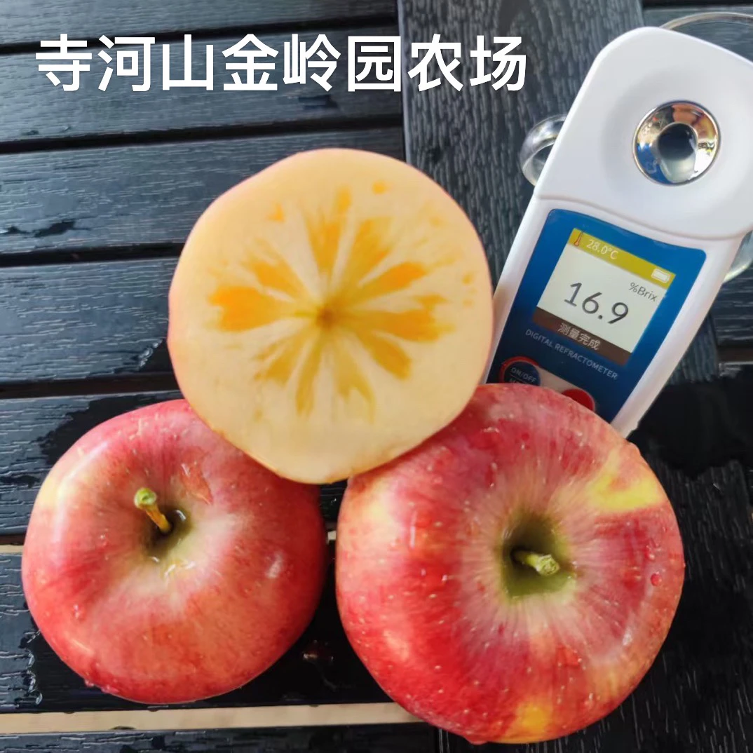寺河山红露苹果新鲜脆甜多汁当季现摘树上鲜果