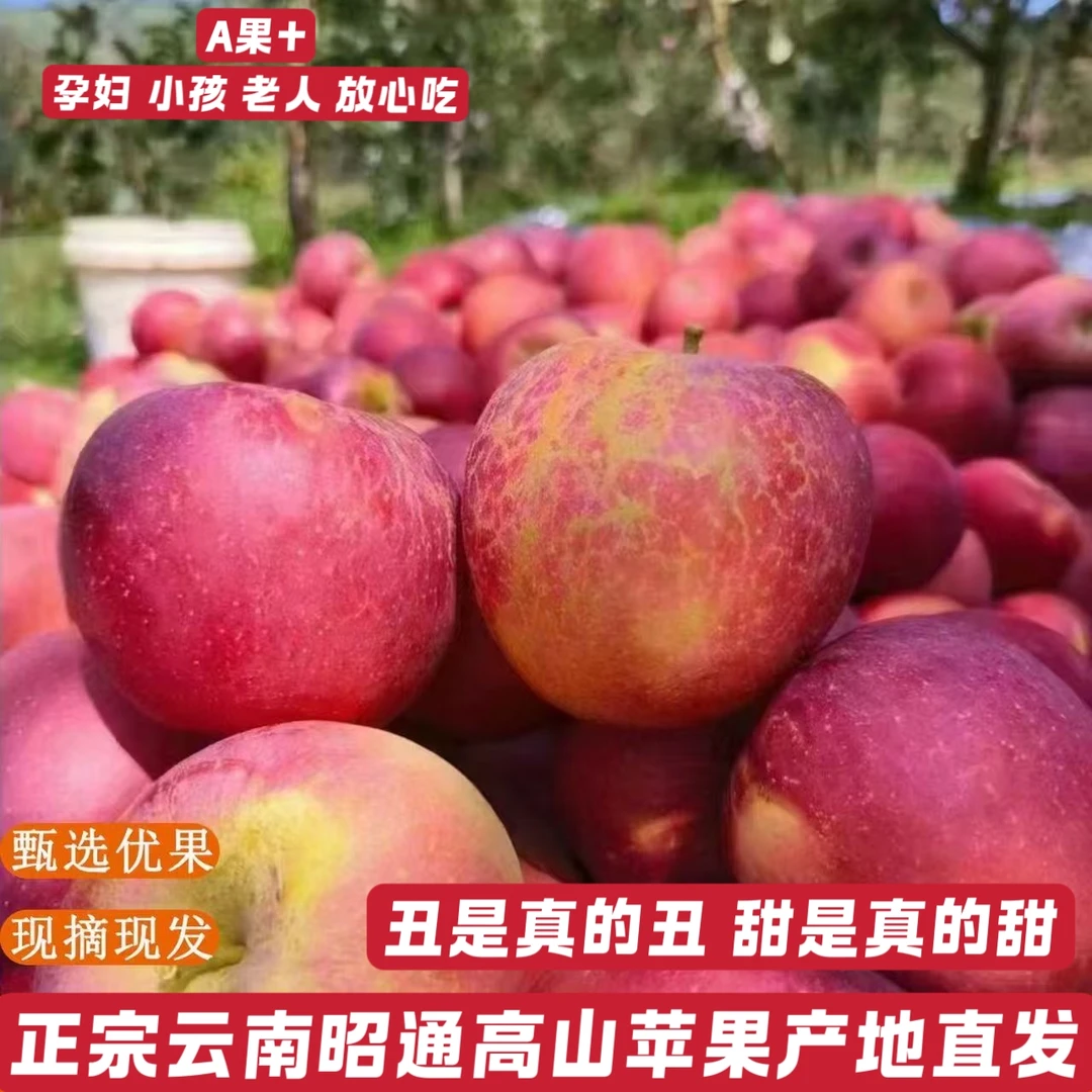 精选云南昭通苹果高山种植带皮吃孕妇水果产地直发纯甜无酸脆甜