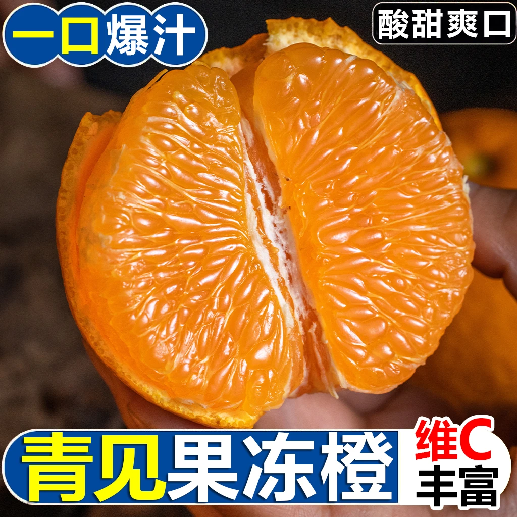 正宗四川青见果冻橙榨汁爆汁橙子新鲜水果爱媛58号桔子不知火丑橘