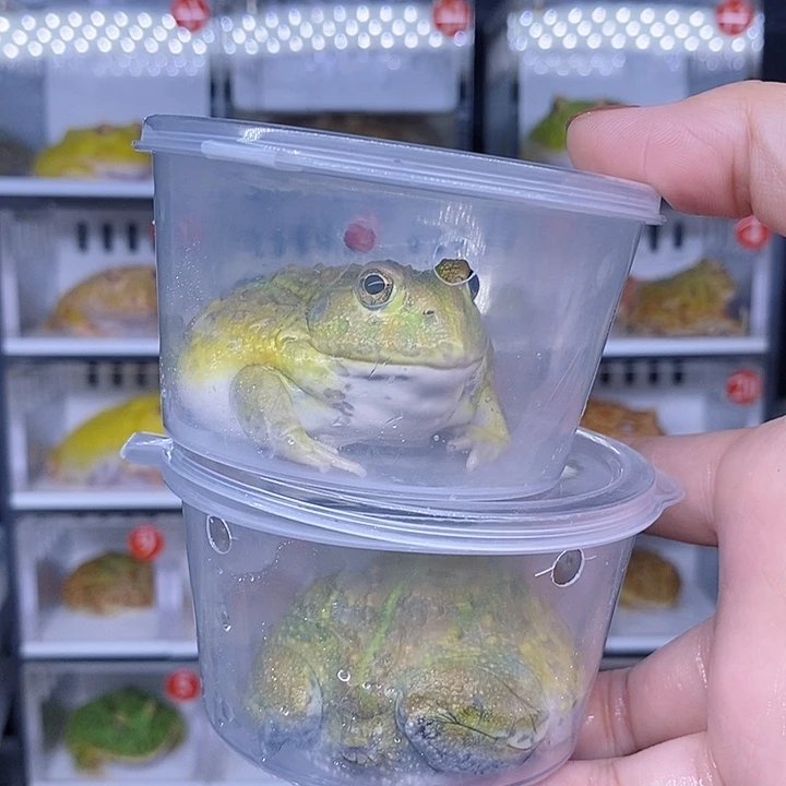 特价秒杀现货特价