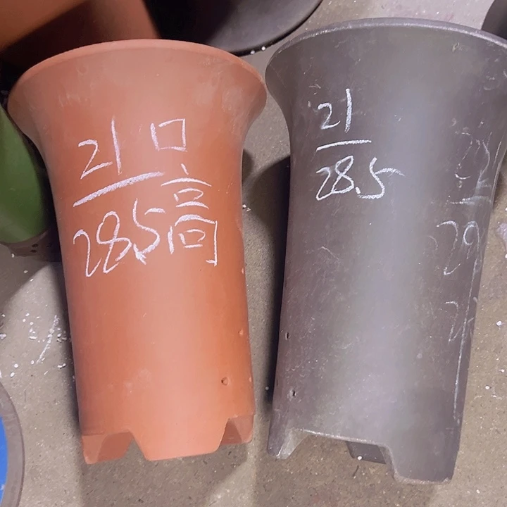 周三周四自始至终自作自受