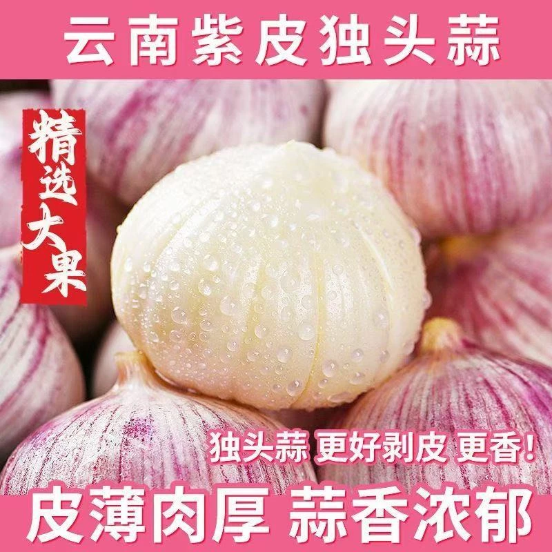 【超低价】新鲜紫皮独头蒜正宗云南饱满蒜头批发0.5/1/2/3/5斤包邮