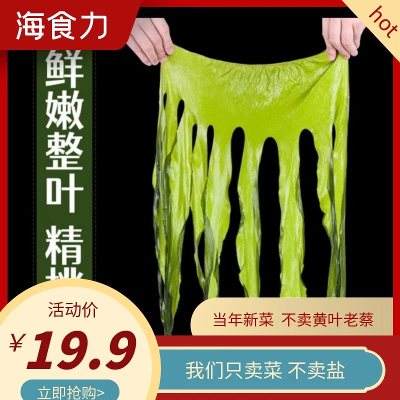2025年当季头茬大连盐渍裙带菜 碱性藻类
