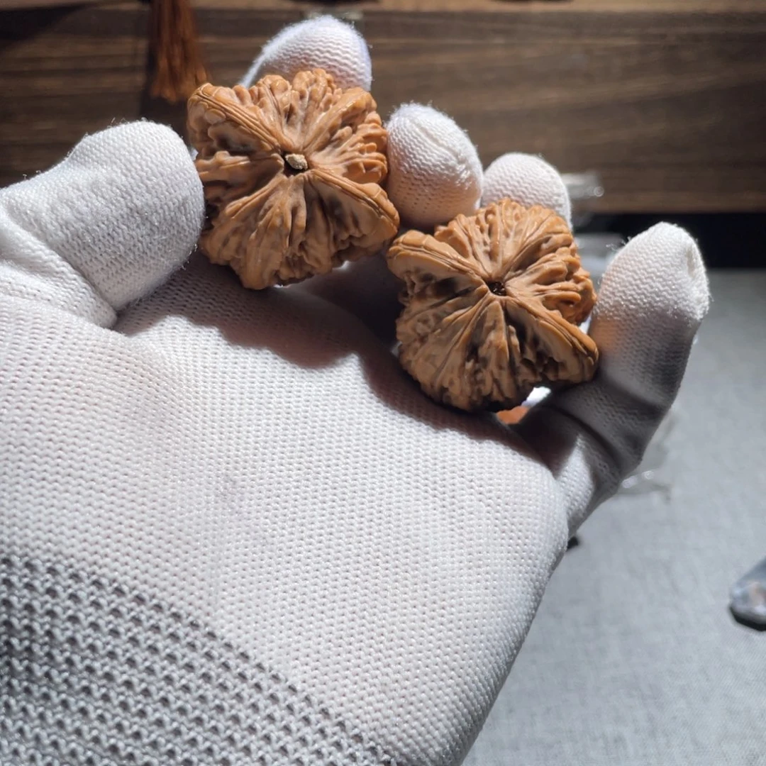 42虎头王！！！！！！！！！！