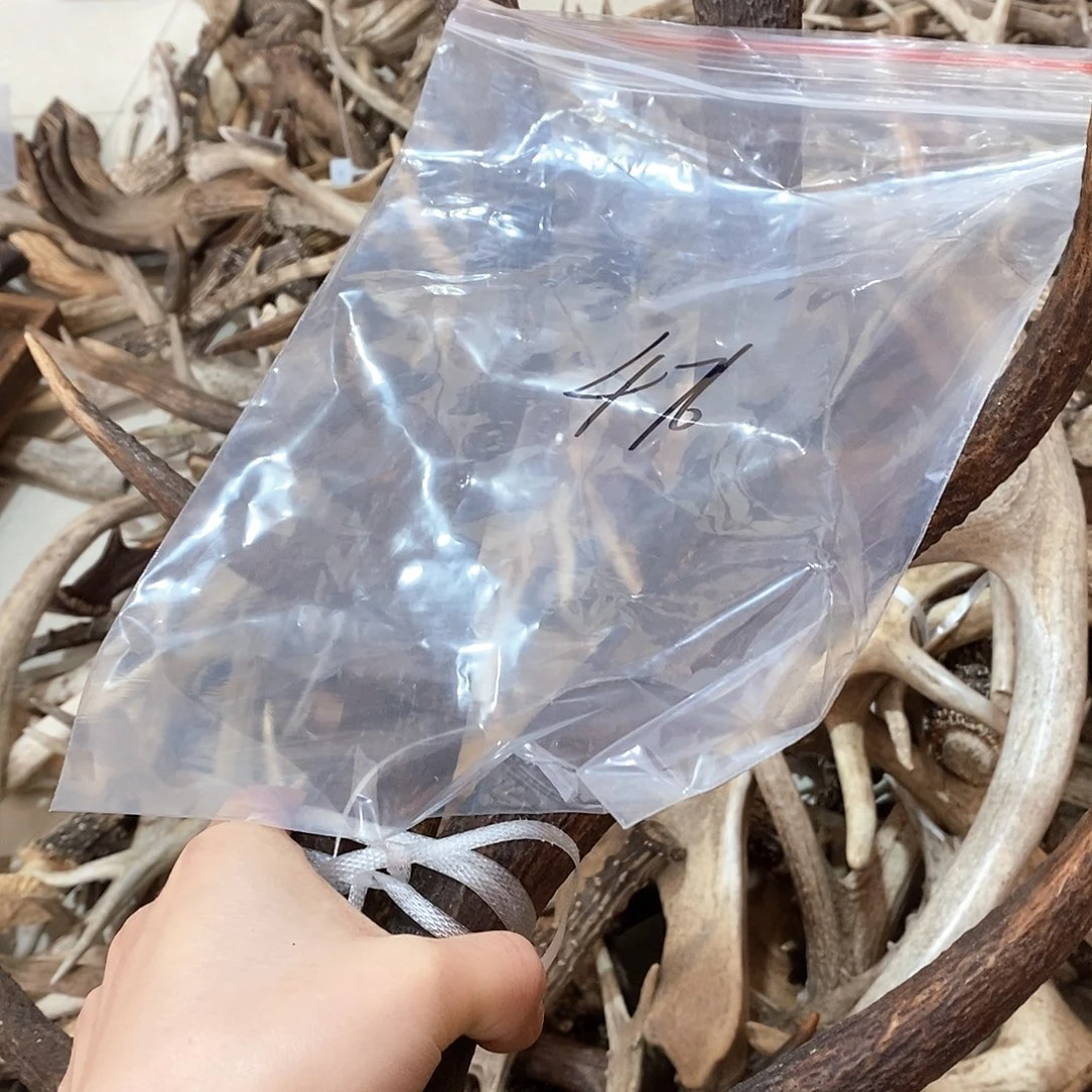 九**铺鹿角鹿角鹿角鹿角鹿