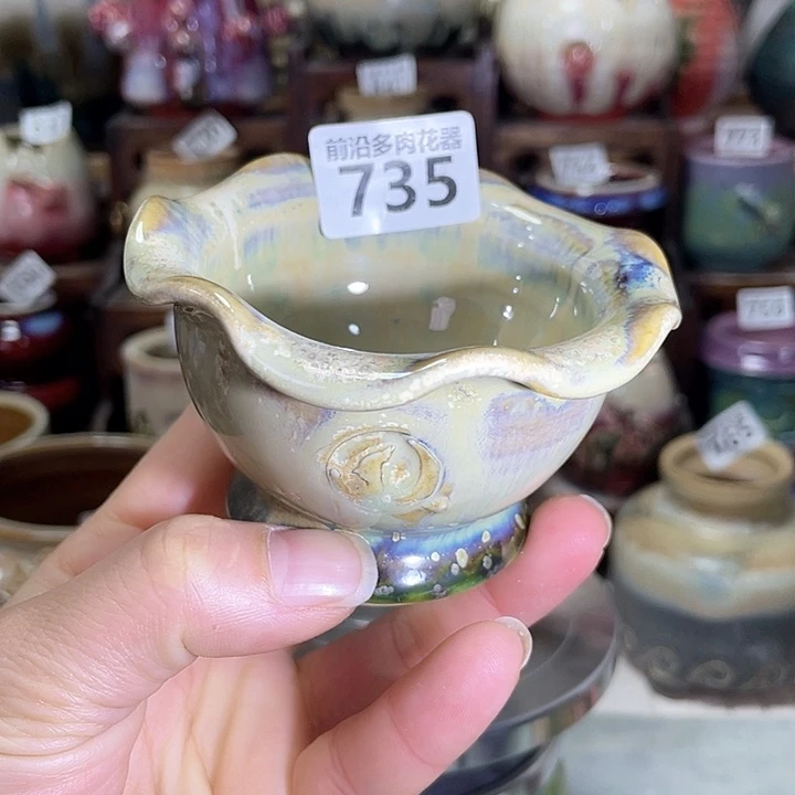 红陶内口径7高度6