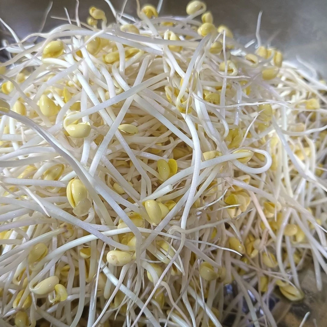 2025年新粮东北690小粒芽豆发芽黄豆做纳豆专用厂家直销
