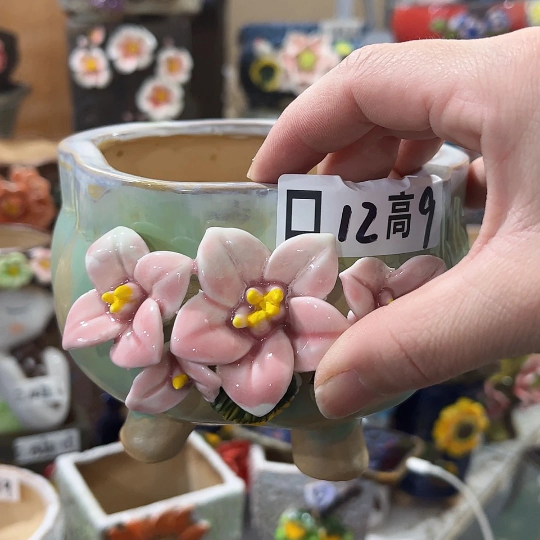 【闪购商品】红陶福利