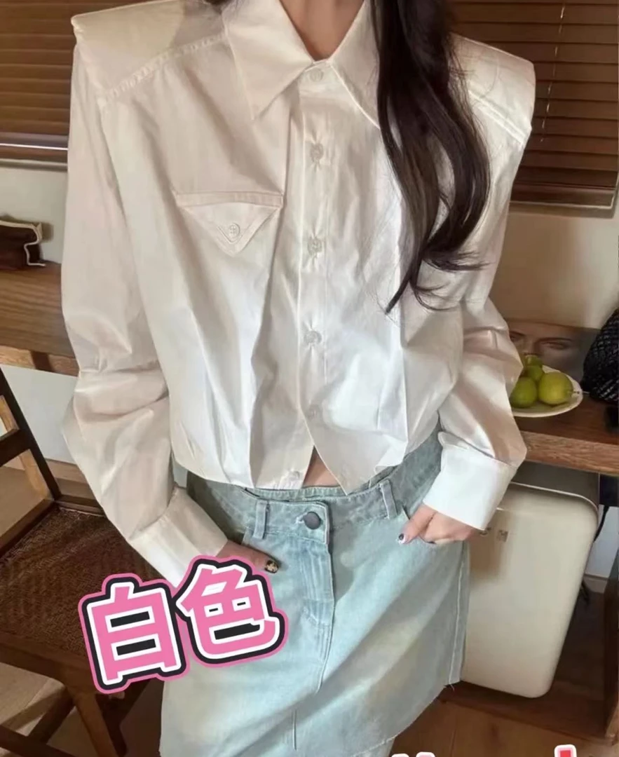 【66367】DM#设计感褶皱时尚翻领衬衫上衣